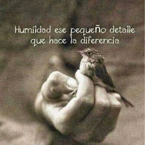 Meet your Posher, Aide luvia